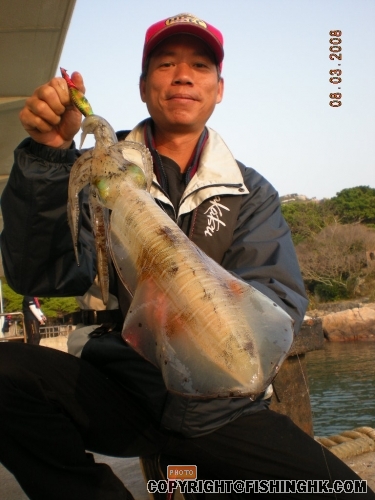 2008-03-08-02 (30cm).JPG