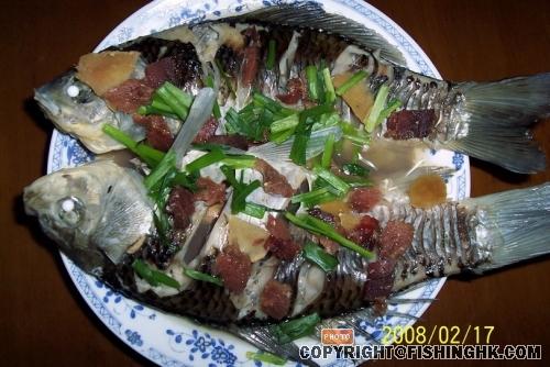 100_3772.jpg