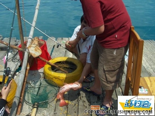 200831816242639213[1].jpg