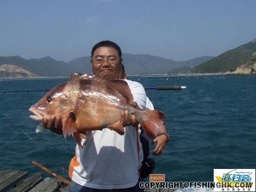 20083415344974006[1].jpg