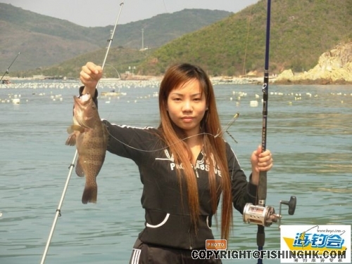 200831815405078778[1].jpg