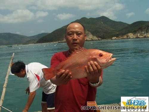 200831816261661451[1].jpg