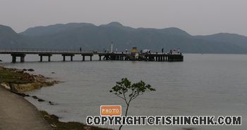 LaiChiChong0040FZ.jpg