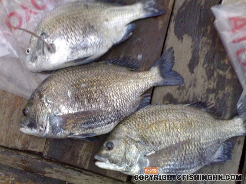 20080401578.jpg