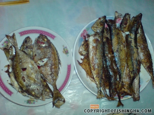 DSC00519.JPG