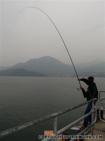 tk04 (Small).JPG