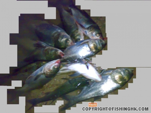 20080416155.JPG