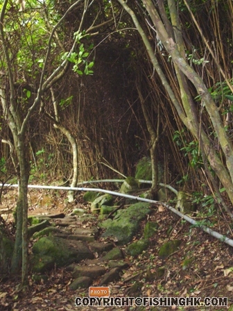 S7001774.JPG