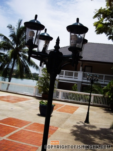 IMGP2700.JPG