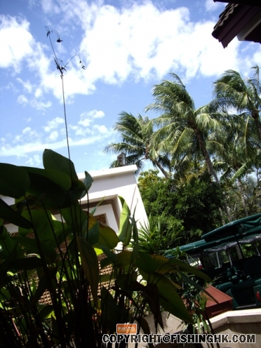 IMGP2743.JPG