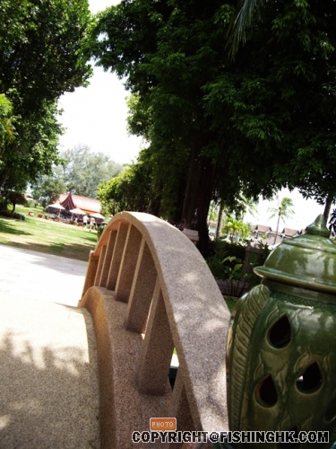 IMGP2726.JPG