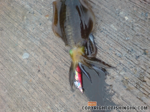 上到黎都要噴多野>X<