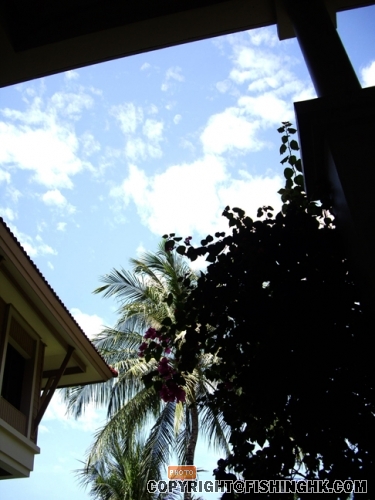 IMGP2754.JPG