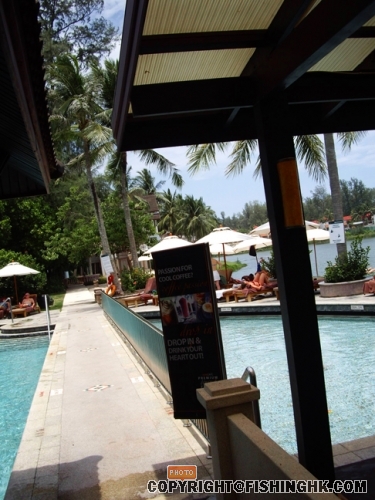 IMGP2731.JPG