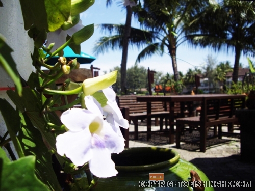 IMGP2519.JPG