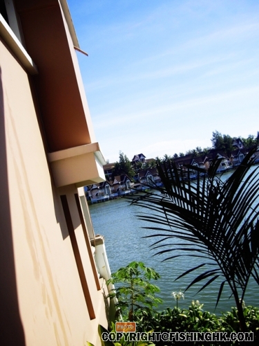 IMGP2558.JPG
