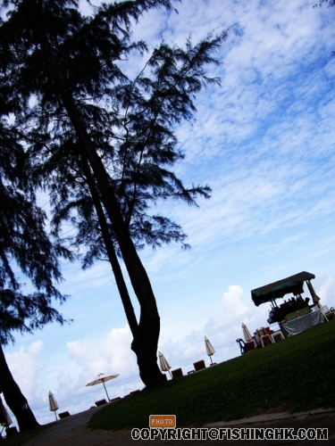 IMGP2586.JPG
