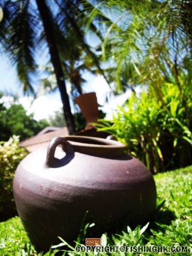 IMGP2532.JPG