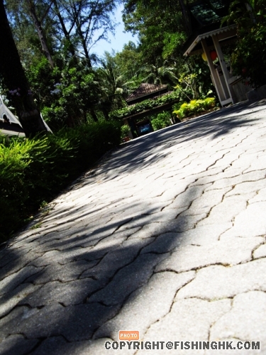 IMGP2536.JPG