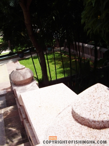 IMGP2724.JPG