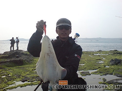 20080322_90d4019378c395a5a534tirnbYtgOKmb.jpg