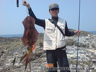 20080401_1d484390f10c6e241a24G9x3GYMW4KRN.jpg