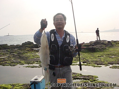 20080326_483f7aaa787000b104a86PlkGdMgxYeN.jpg