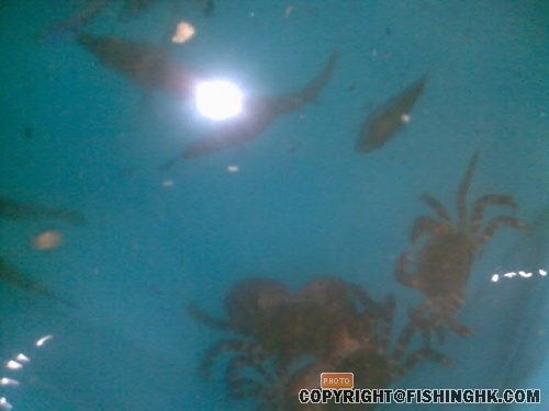 20080513_3b1c15bb1447697c60b7RNNH4pDUc7rL.jpg