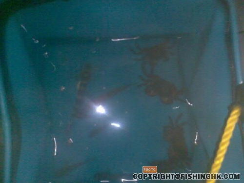 20080513_34b04f5cb71eebc0c645NHbdZuLhG1w1.jpg