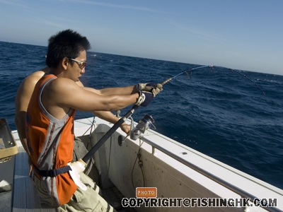 中堅野 !!! 無回頭....