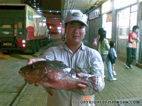 圖像006.jpg