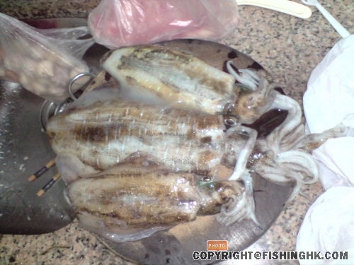 中間果隻有２５ｃｍ