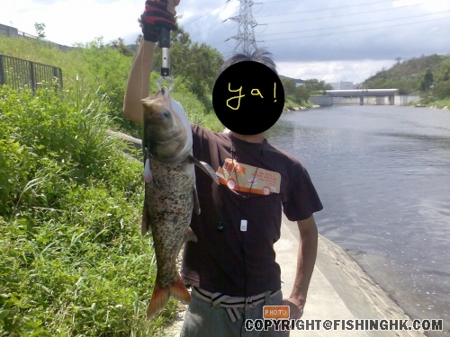 圖像0402.jpg