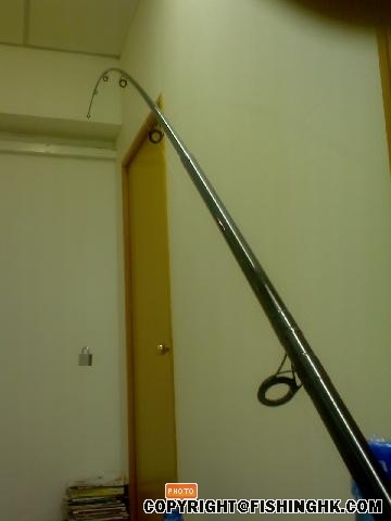 my diawa surf rod.jpg