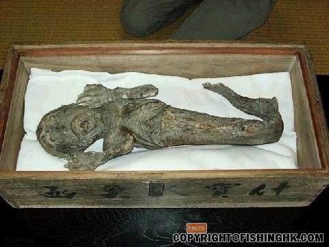 人魚.JPG