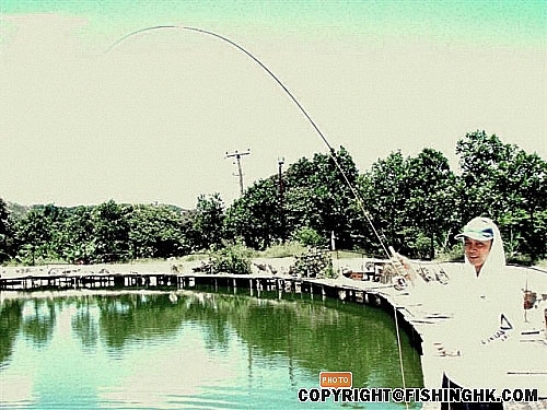 20080622_1b5bb0c9c5bf655640f8FKXR6NrOXGRl.jpg