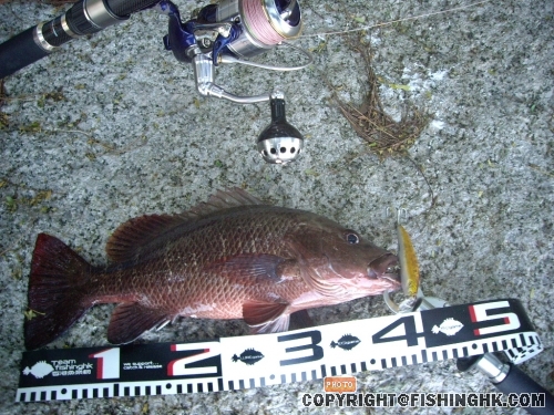 40 cm
