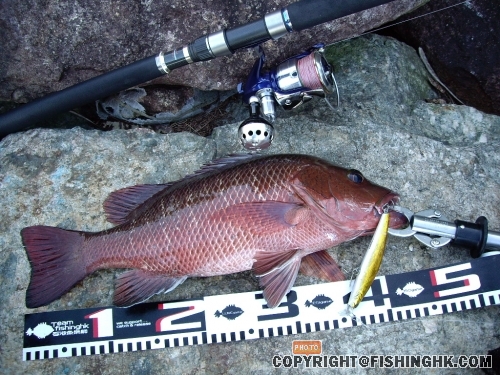 45 cm