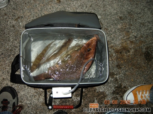 DSCN1496.jpg