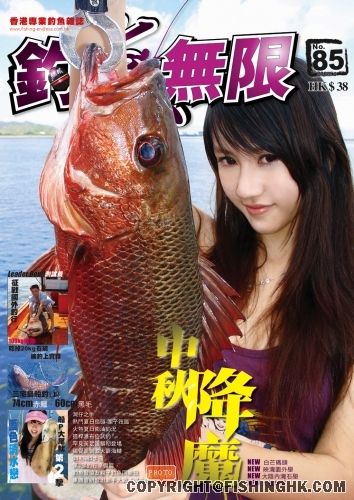 v85_poster.jpg