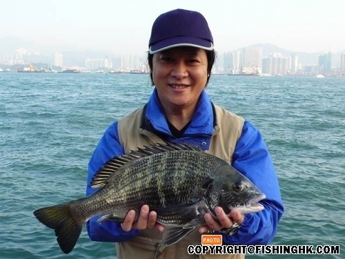 人與活魚相一張