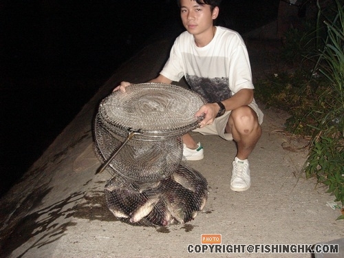 悠悠的晚風增添幾分寒意..........這便是每年的殘秋下........初 051.jpg