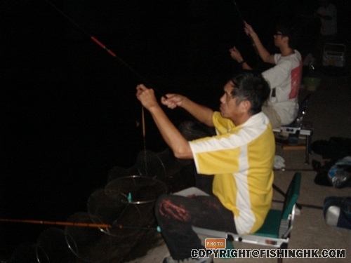 悠悠的晚風增添幾分寒意..........這便是每年的殘秋下........初 031.jpg