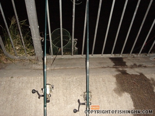 悠悠的晚風增添幾分寒意..........這便是每年的殘秋下........初 017.jpg