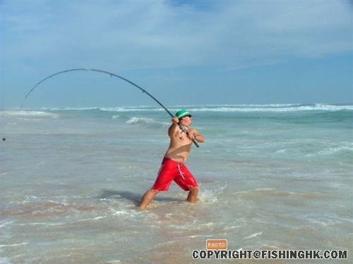 http://images.google.com/imgres?imgurl=http://goinoffsafaris.com.au/files/surf-fishing-south-austral