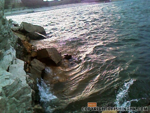 IMAGE_043.jpg