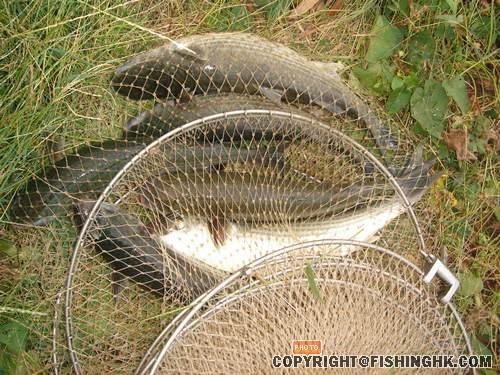 新釣場！一處的釣人樂鄉！臺釣的人間樂土！ 034.jpg