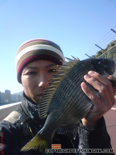 DSC00084.jpg