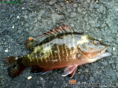 DSC00368.JPG