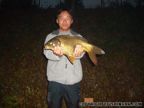 收工魚